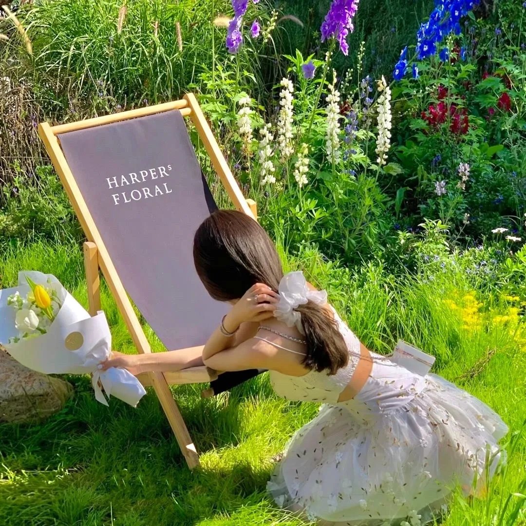 玩具熊的五夜后宫：紫色的泪